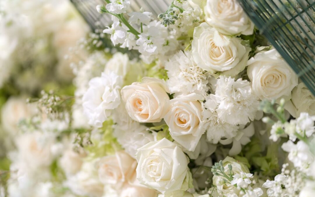 rosas blancas, mejor seguro de decesos en España 2026