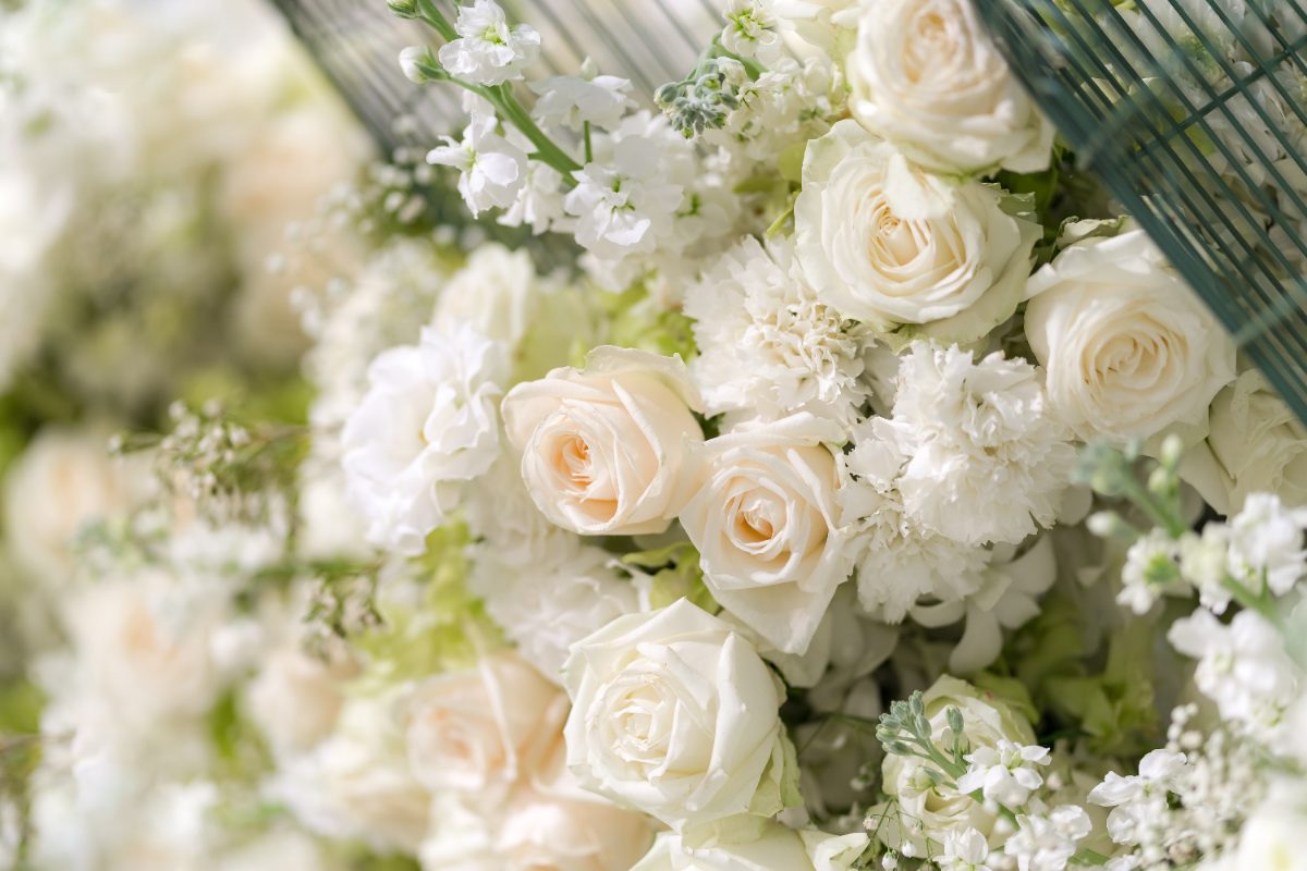 rosas blancas, mejor seguro de decesos en España 2026
