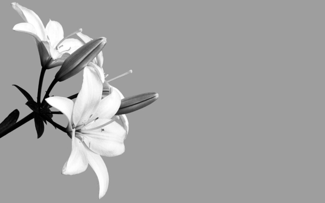 seguro de decesos y donación de órganos: flores de condolencia